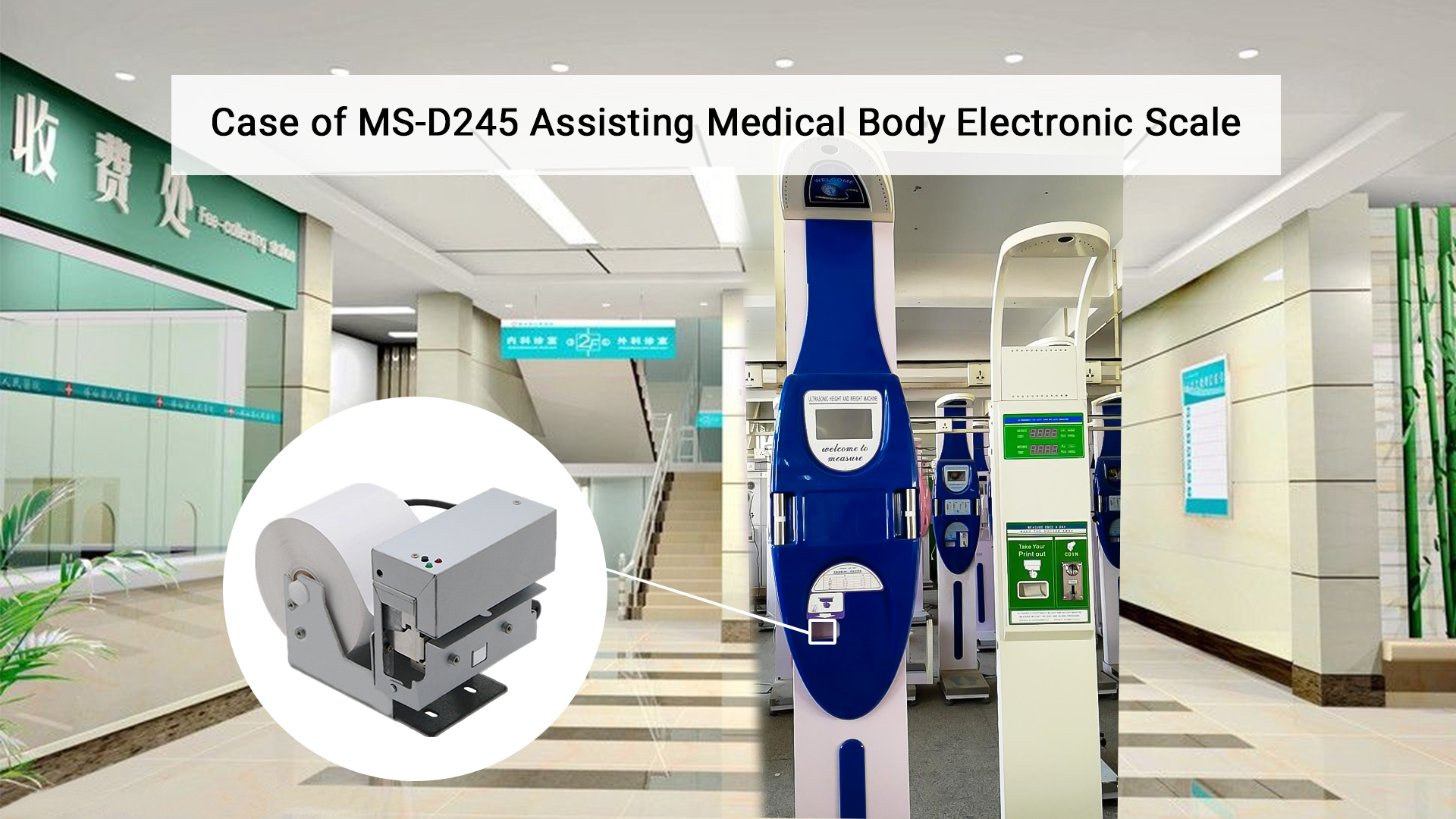 L'imprimante Masung MS-D245 aide les cas de balance électronique médicale du corps humain