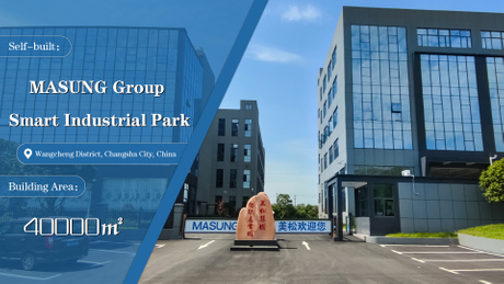 Elaborate on the strategic process of MASUNG.jpg